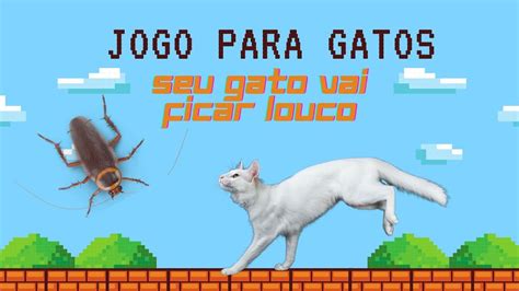 jogo para gatos barata